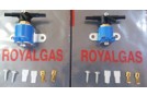 Solenoid Benzin Valfi /Royalgas